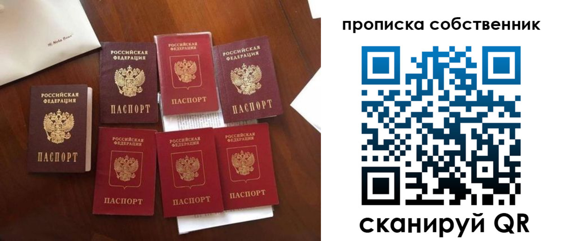 прописка для школы в Волосово